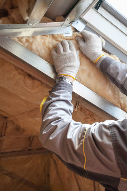 Best Commercial Insulation Services  in Decatur, IL